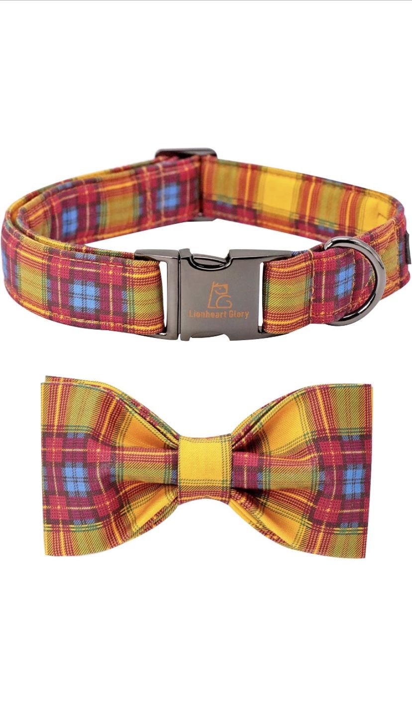 Lionheart glory Fall Dog Collars Size M