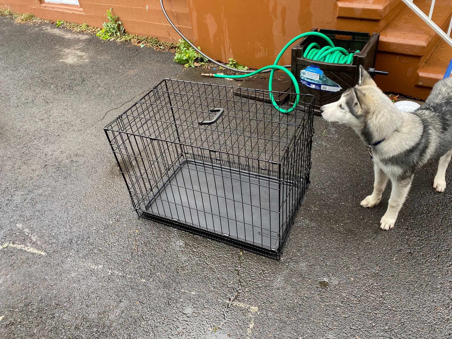 Dog cage