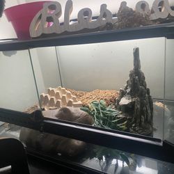 Fish/Reptile Tank/ Aquarium