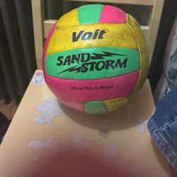 Sports Balls & Training Gear Lot – Voit / Sand Storm