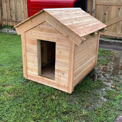 Dog House 