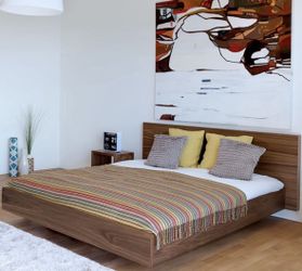 Mid Century Modern Platform Bed