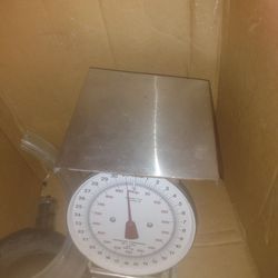 Large Kitchen Scale 