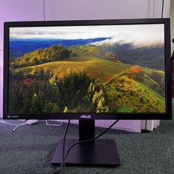 ASUS 27" QHD 1440P Monitor - IPS, DisplayPort, HDMI, DVI (PB278Q)