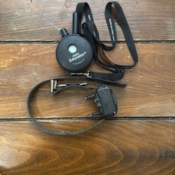 Mini Educator E Collar 