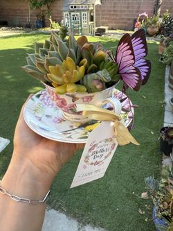 Mothers day Tea Cups And Mugs Available $15 Each