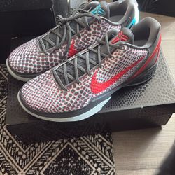 Kobe 6 Protro