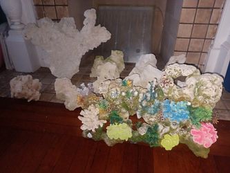 Coral Reef Rocks 