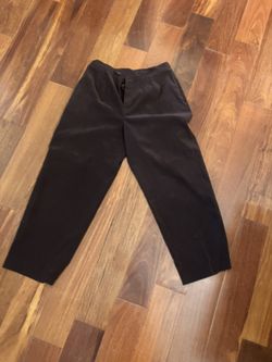 Velvety Reddish Brown Straight Leg Pants Size 14