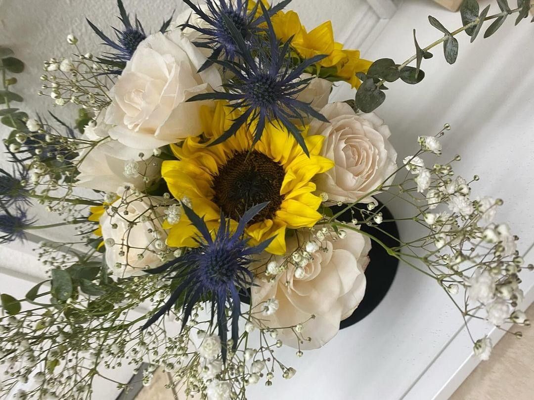 Different Kinds Of Boxes