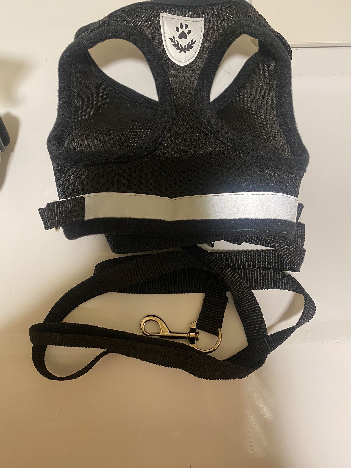 Medium harness and leash for dogs