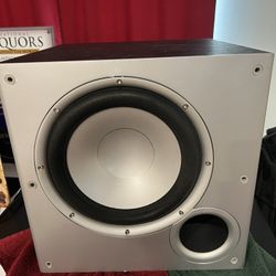 12” Subwoofer 