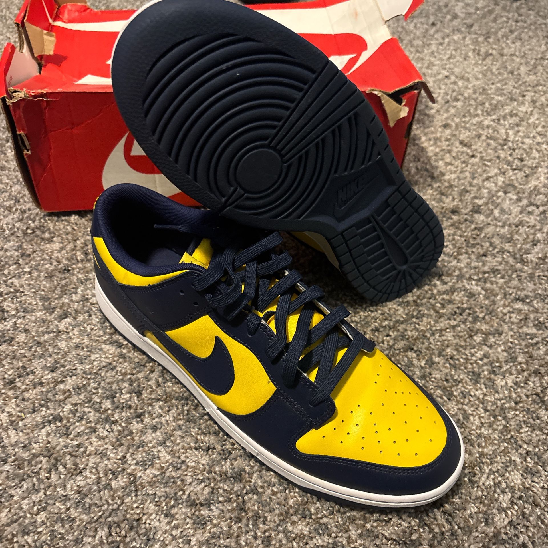 Nike Dunks Michigan