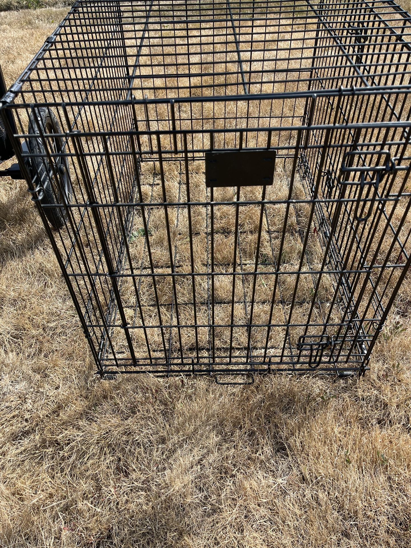 Dog kennel 