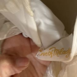 Wedding Gown, Veil, Slip