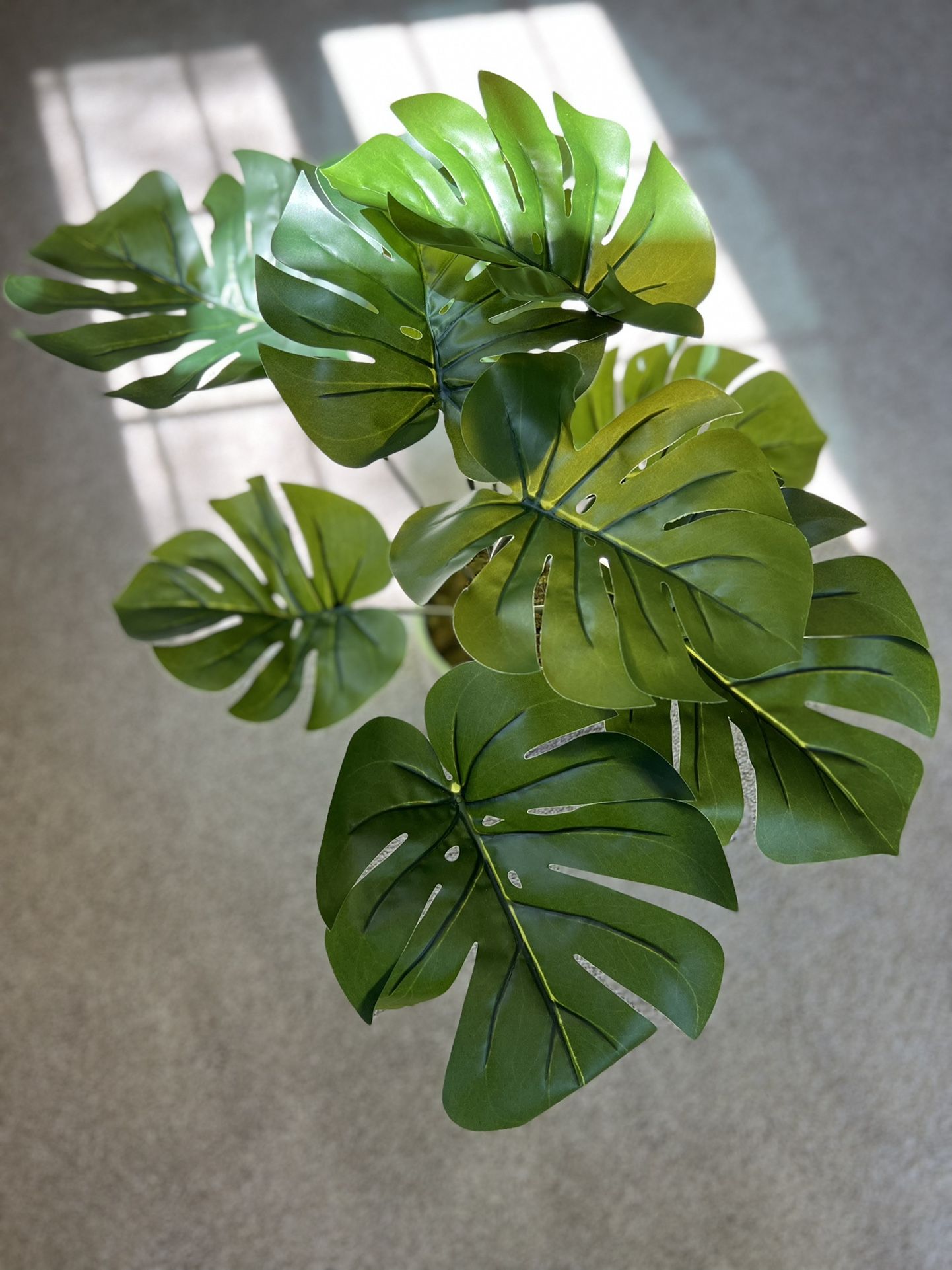 Monstera Leaf Arrangement in Ceramic Pot