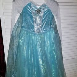 Frozen Elsa Costume Dress