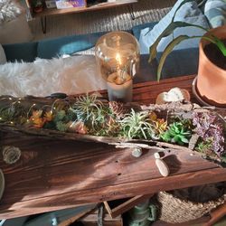 Fairy Garden Moss Centerpiece 