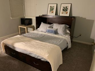Lightly Used Walnut Wayfair Murphy Bed