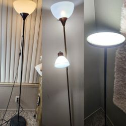 $25 For Three Lamps 