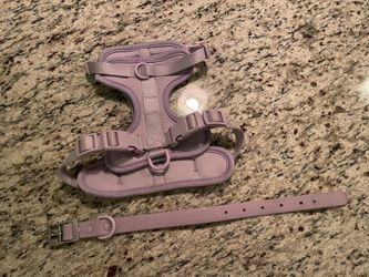 Wild One Pet Harness and Collar (small)