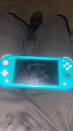 Nintendo Switch lite