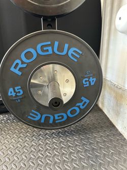 Rogue fitness training plates