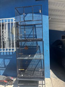Bird cages