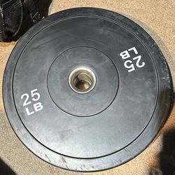 Bumper Weight Plates 