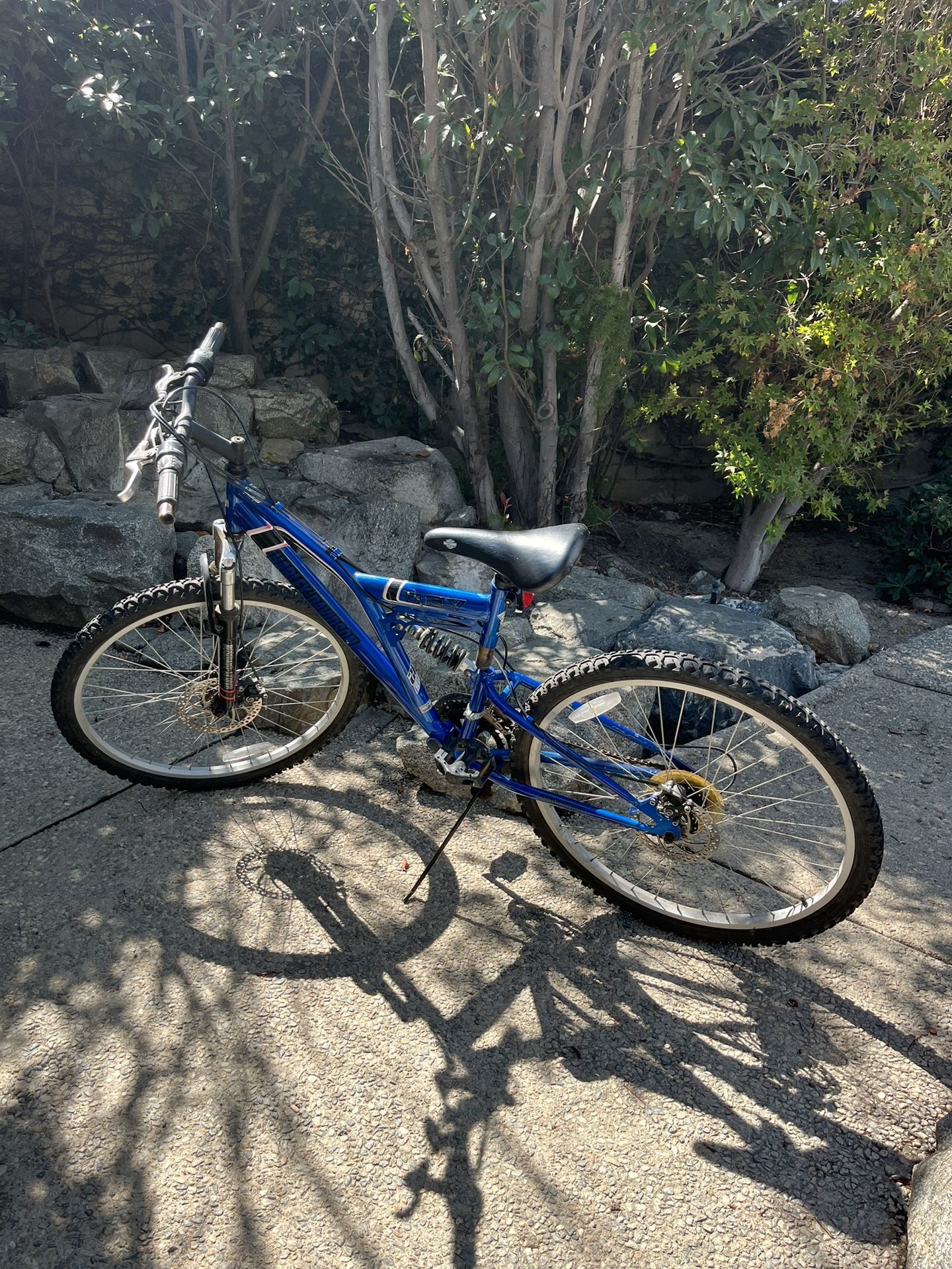 Bike for adults