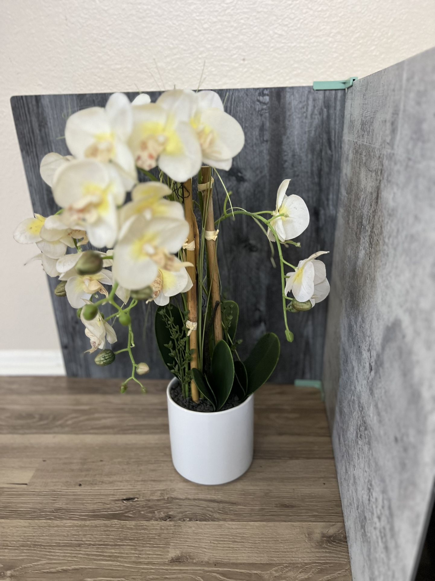 Fake Orchid plant