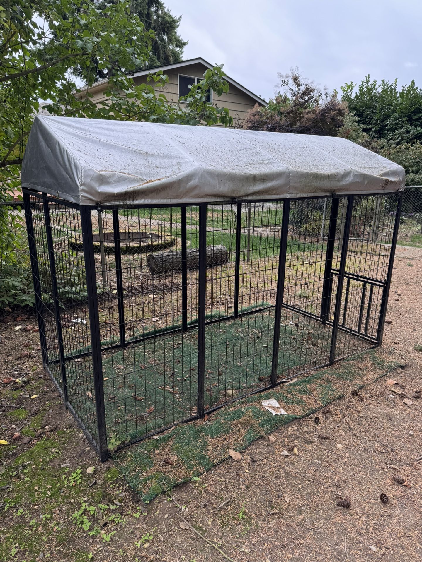 Dog Kennel