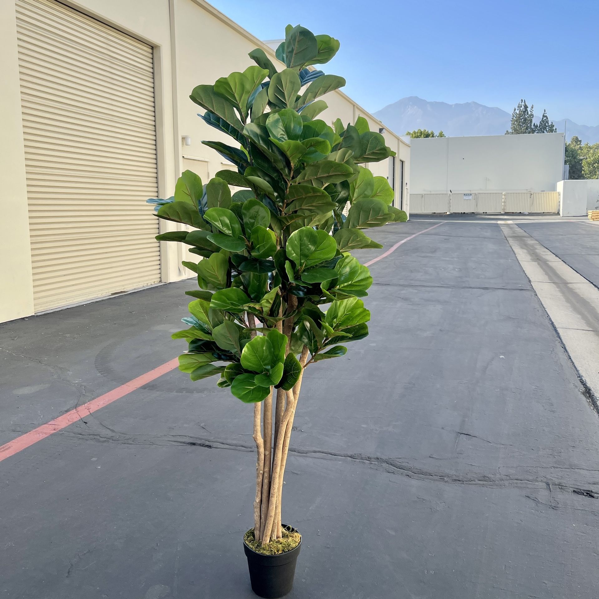 Fake Fiddle Leaf Fig Tree, Tall Artificial Tree Greenery Plants in Pots