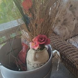 Elephant Plants For Sale