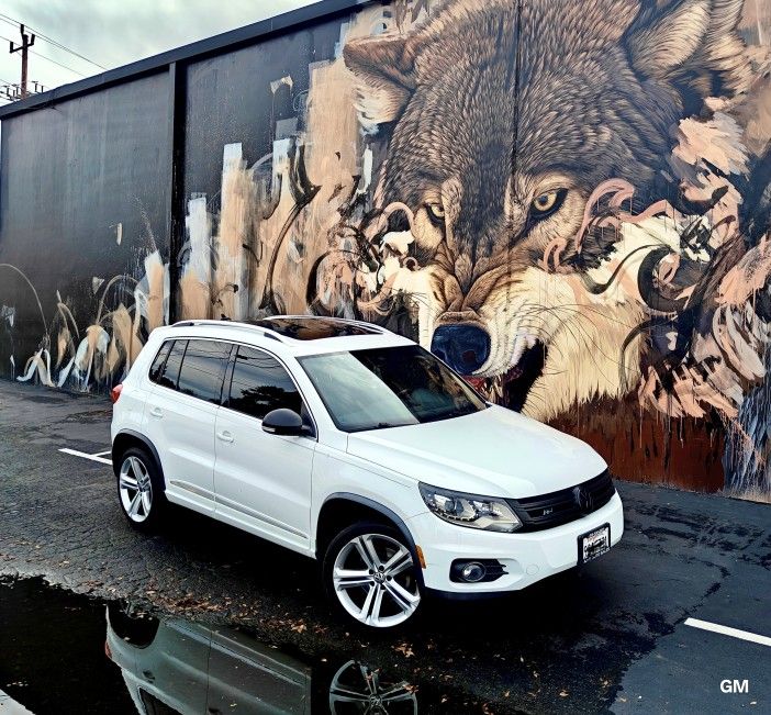 2014 Volkswagen Tiguan