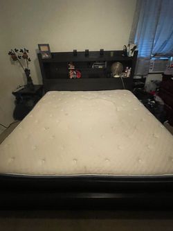FREE - King Size Mattress