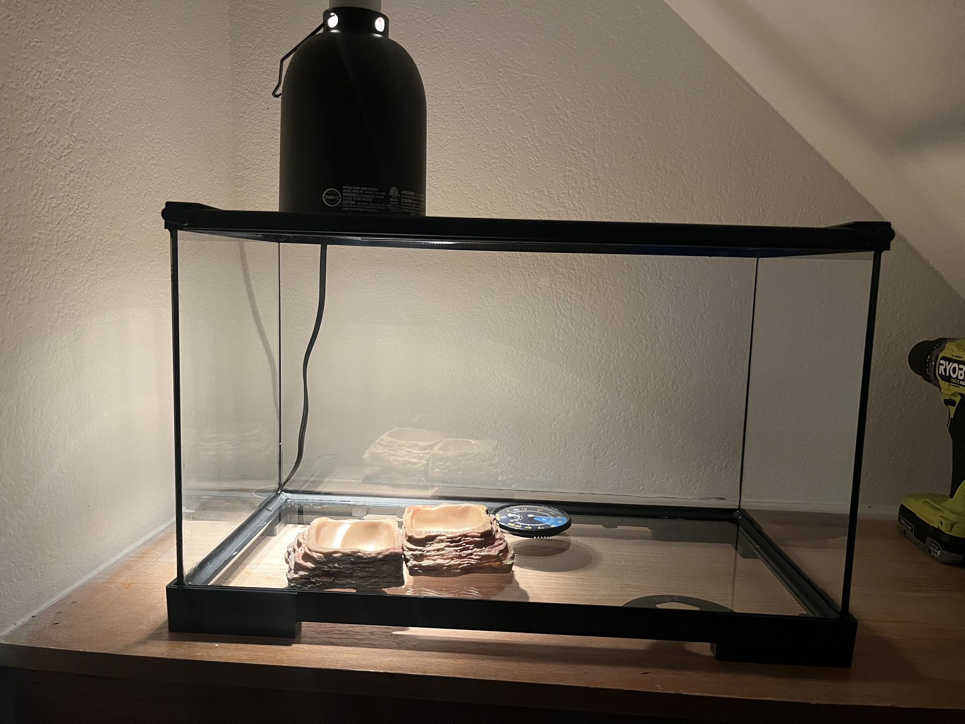 Terrarium Lamp And Food Bowls