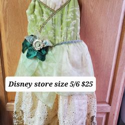 Disney Store Princess Dresses 👸 Different Prices
