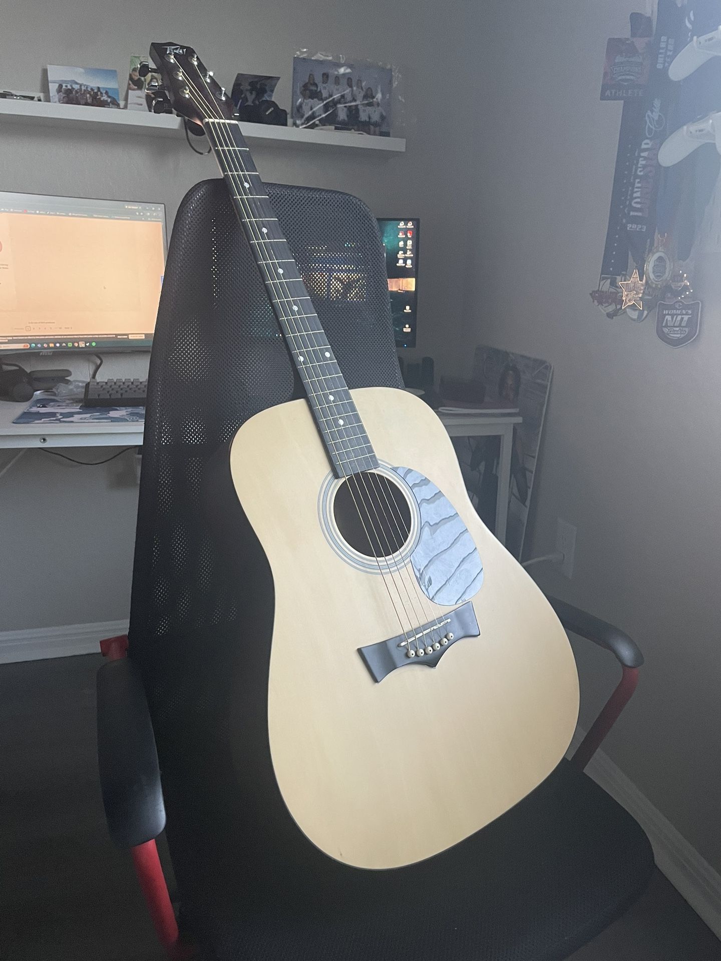 Peavey Acoustic Guitar