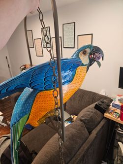 Sergio Bustamante hanging Parrot Limited Edition