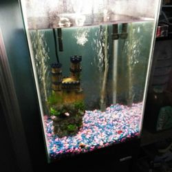 Tank Fish Pecera