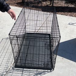 Dog crate 