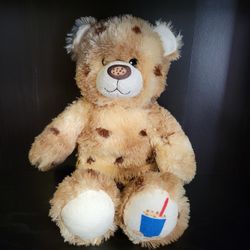 Chcolate Chip Build-A-Bear with Clothing 