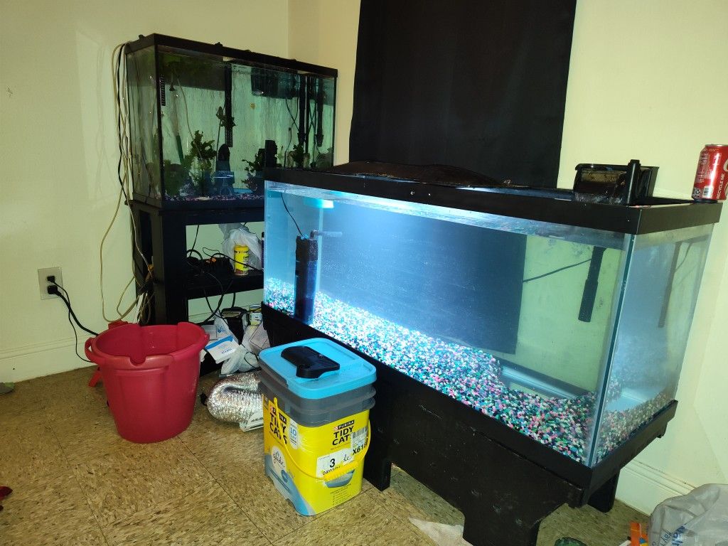 Fish/Aquarium/Assorted fish supply & decor 500OBO