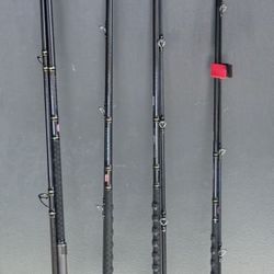 PENN Carnage IIl Surf Spinning Rods