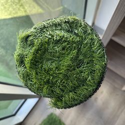 Turf on sale a 15