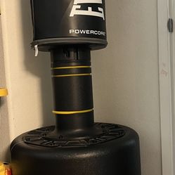 Everlast Standing Punching Bag For Sale