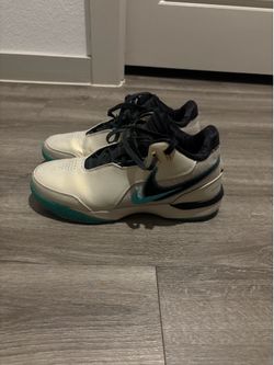 LeBron Basketball Shoes