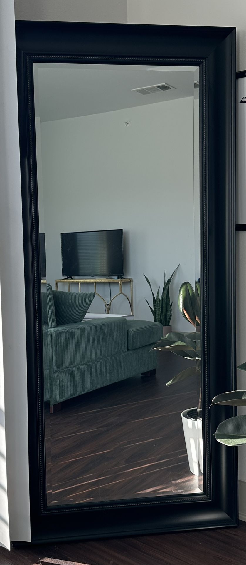 64x 30 Full Length Black Mirror 