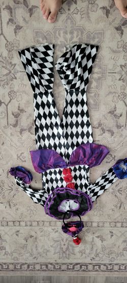 Clown costume